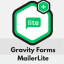 Gravity_Forms_MailerLite