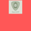 SearchWP